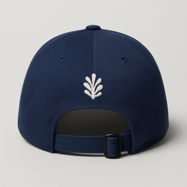 La Casquette Bleue
